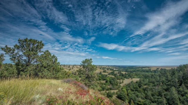 An overlook of the trees and shrubbery the dot the Fort Niobrara National Wildlife Refuge.